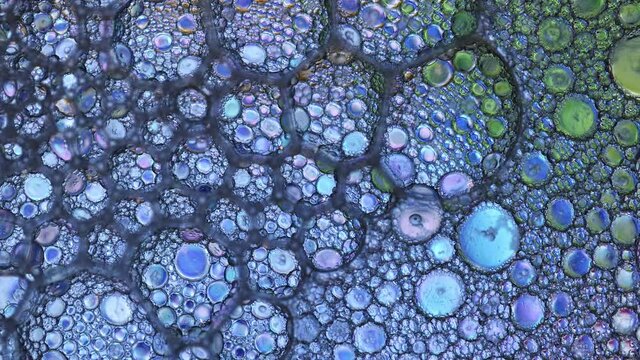 Colorful bubbles popping and merging together in macro view.