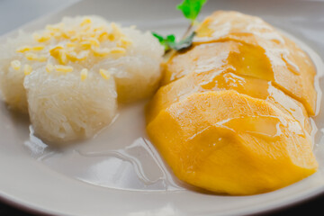 Selective focus on the mango with sticky rice, the traditional famous thai dessert