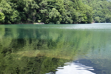 森と湖の風景