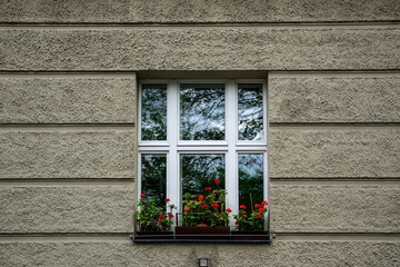 window with flowers