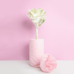 Ornamental cabbage in a vase, wrapped with pink paper on pink background