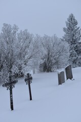 Gravestones in winter
