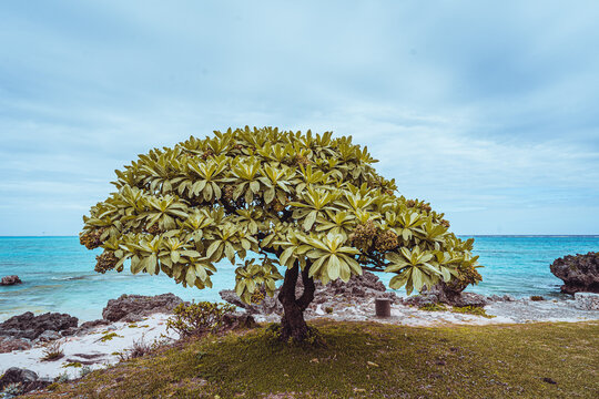 与論島 Yoron Island 