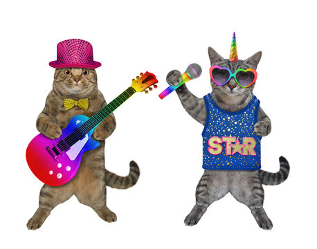 A gray cat unicorn in sunglasses with a microphone is singing a song with a guitar player. White background. Isolated.