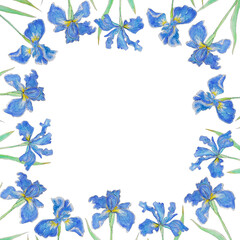 Watercolor square illustration with irises