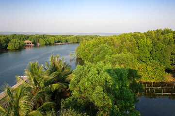 Fototapeta na wymiar Panoramic view area of a mangrove forest in Krong Koh Kong, Cambodia