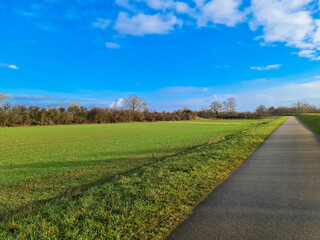 Walking and cycling path through Alsace in north-eastern France. Asphalt road through agricultural fields to the horizon.