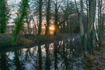 Foggy Sunrise at old Canal Ireland