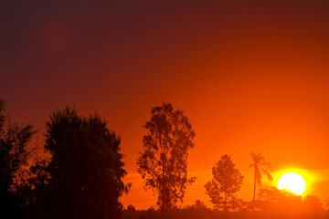 sunset over the forest