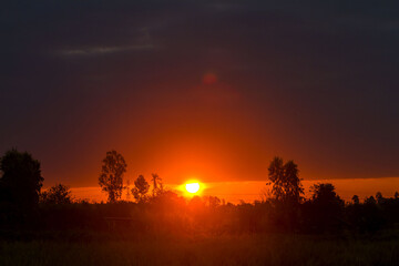sunset over the forest