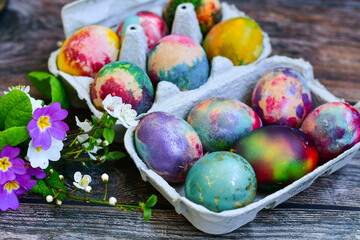 Colorful hand painted purple and rose  easter eggs and  spring blossom on wooden background