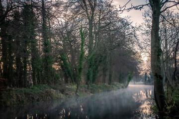 Foggy Sunrise at old Canal Ireland