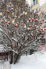 Fototapete bei efototapeten.de bestellen   