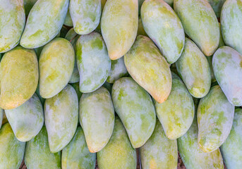 Close-up of yellow mango in the market or supermarket - exotic fruit