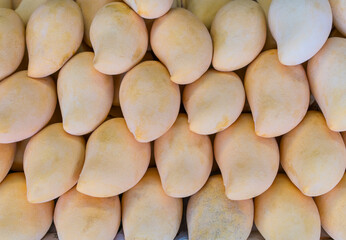 Close-up of yellow mango in the market or supermarket - exotic fruit