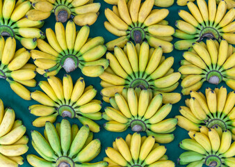 Yellow ripe bananas on the counter in a shop window.