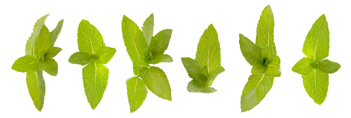 Collection of fruit segments. Different green mint leaves isolated on white background with clipping path as package design element and advertising. Full depth of field.