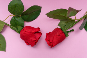 red roses on a pink background, valentine's day