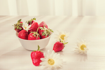 Strawberries, daisies in the early morning on a white wooden surface