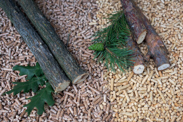 Two types of pellets - oak and coniferous- leaves and woods