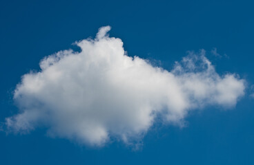 Large white fluffy cloud in the blue sky