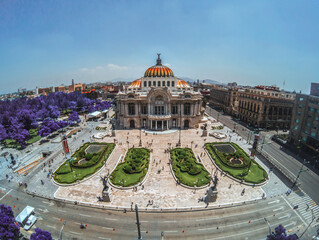 view from the top of the cathedral of st peter