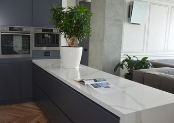 Modern kitchen design with a kitchen island with a white surface and a potted plant as a kitchen and living room divider, separator with built-in cooking appliances, and a sofa in the background.
