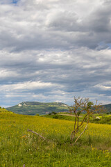 Fototapeta na wymiar Landscape near Dolni Dunajovice, Palava region, South Moravia, Czech Republic