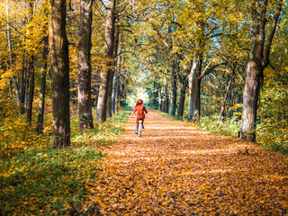 Fototapeta premium person walking in the park
