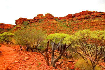 Kings Canyon in the red centre of Australia