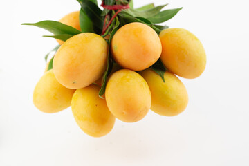 Bunch of Marian Plum or Plum Mango on a white background. Fruit isolated on white background. Thai fruit. Sweet, Delicious, Tasty.