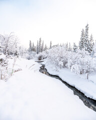 An open water creek in a winter, snowy wonderland in northern Canada, Yukon Territory. Taken in December during freezing, cold season. 