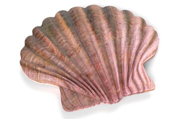 3D Illustration of a Seashell