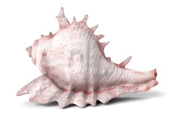 3D Illustration of a Seashell