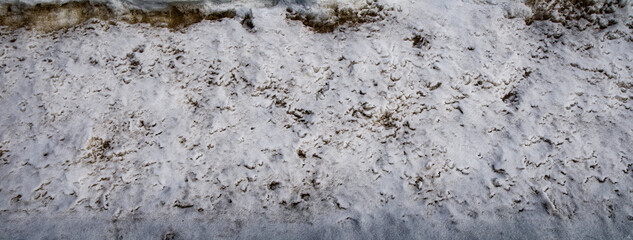 the accumulated dirty snow 