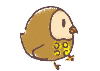 An owl printed stars