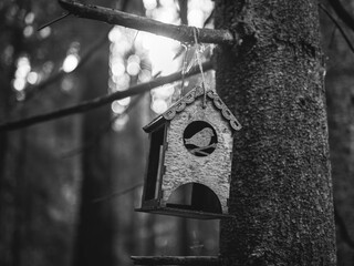 bird house on tree