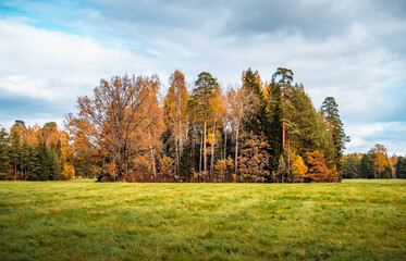autumn landscape with trees