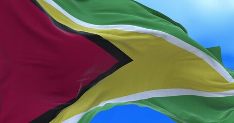 Seamless loop of Guyanan flag.