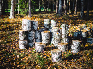 cemetery in the autumn