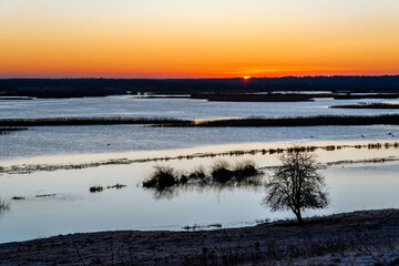 Łagodna zima nad Biebrzą, Podlasie, Polska © podlaski49