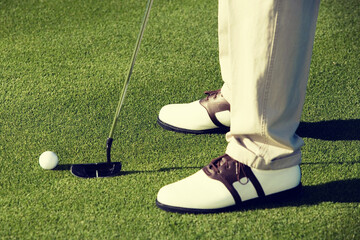 Portrait of of Male Golfer Putting for par