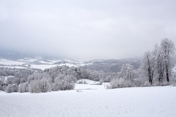 Winter landscape in mountains