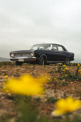 Fototapeta premium blue vintage car with yellow flowers on the beach