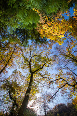 autumn in the park