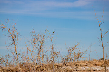 Beautiful landscape along the famous White Owl Canyon trail