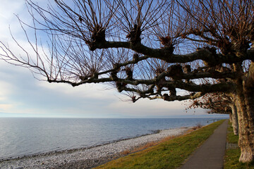 Walking Trip Along The Bodensee Shore, Germany