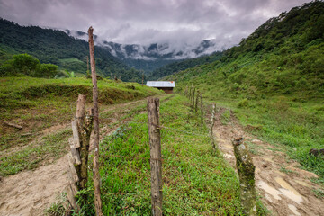 Fototapeta na wymiar bosque humedo, Sierra de los Cuchumatanes, Quiche, República de Guatemala, América Central