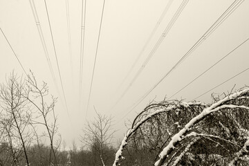 Stromleitung durch verschneiten Winterwald im Nebel