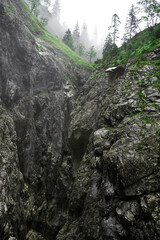 landscape in the mountains
